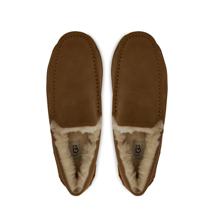 UGG Ascot 1101110 Brown