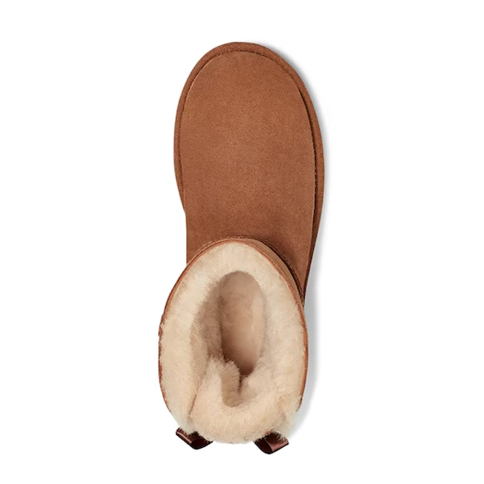Mini Bailey Bow II Chestnut