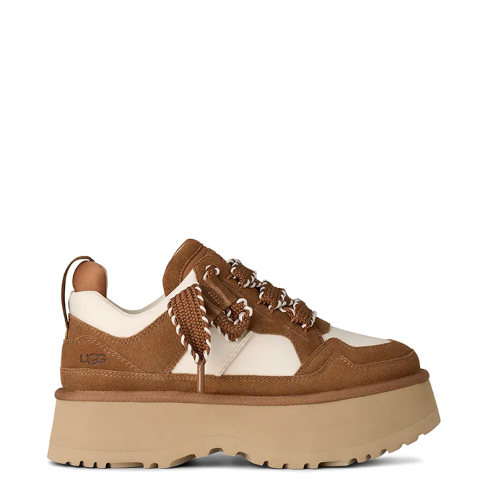 Astromel Chestnut 1171541