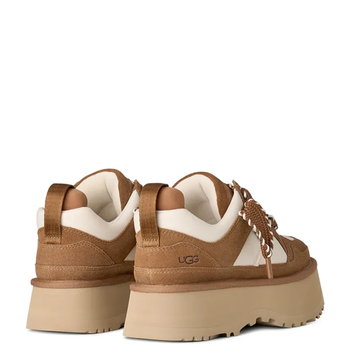 Astromel Chestnut 1171541