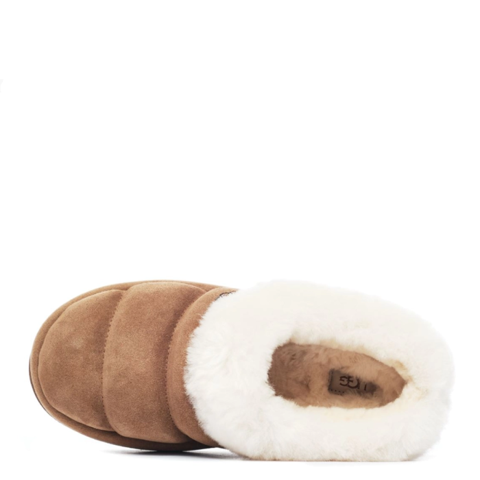 UGG Tazzlita Chestnut