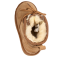 Neumal Chesnut Kids